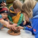 Der Regenwurm ist der König des Bodens und Star des Kinder-Bodentages in Kärnten