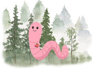 Waldemar der Regenwurm