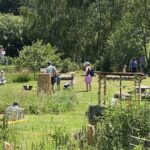 VielfaltsVisionäre, Naturherzgarten, Sonnentor
